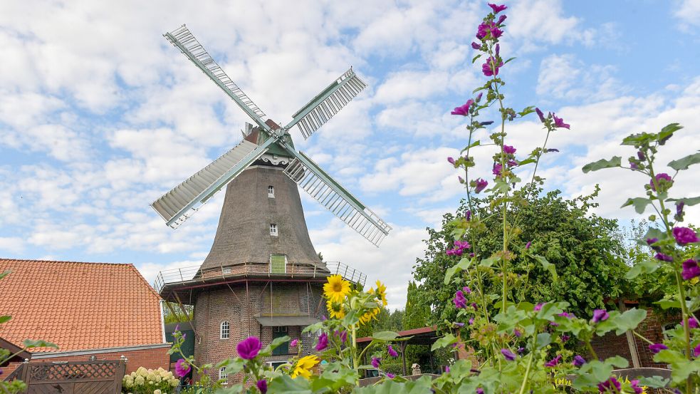 Die Mühle in Jemgum lockt Einheimische wie Touristen an. Foto: Klaus Ortgies/Archiv
