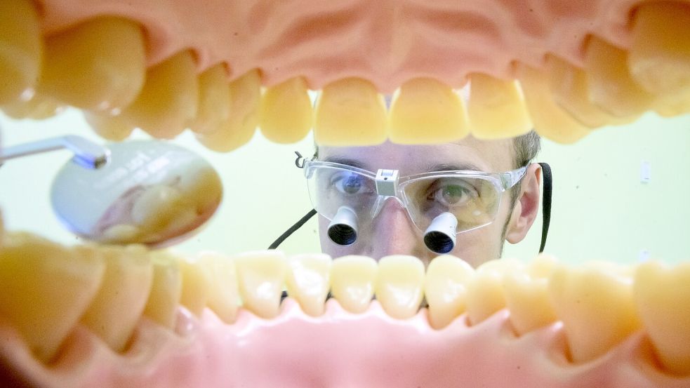 Ein Zahnarzt schaut in einer Zahnarztpraxis für Fotoaufnahmen in ein künstliches Gebiss. Foto: Julian Stratenschulte/dpa