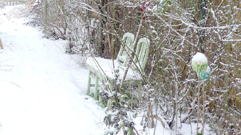 Winter im Garten: Unter der Schneedecke ruht vieles – Zeit, einen Blick auf Nützlinge wie die Florfliege („Goldauge“) zu werfen, die später Blattläuse dezimieren kann. Foto: Karin Berends-Lüürßen