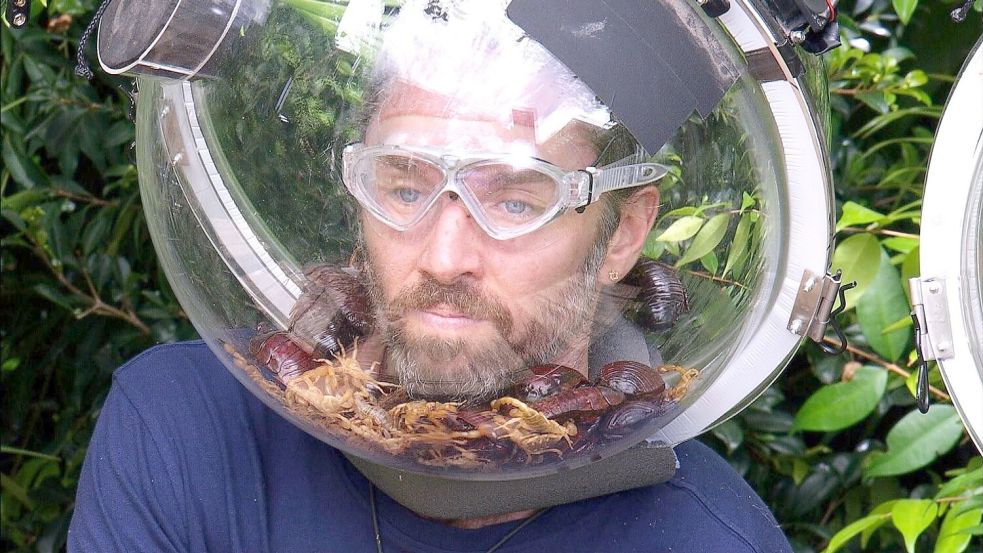 Auch das krabbeligste Getier konnte ihn nicht stoppen: Musiker Gil Ofarim ist Dschungelkönig. (Handout) Foto: RTL/dpa