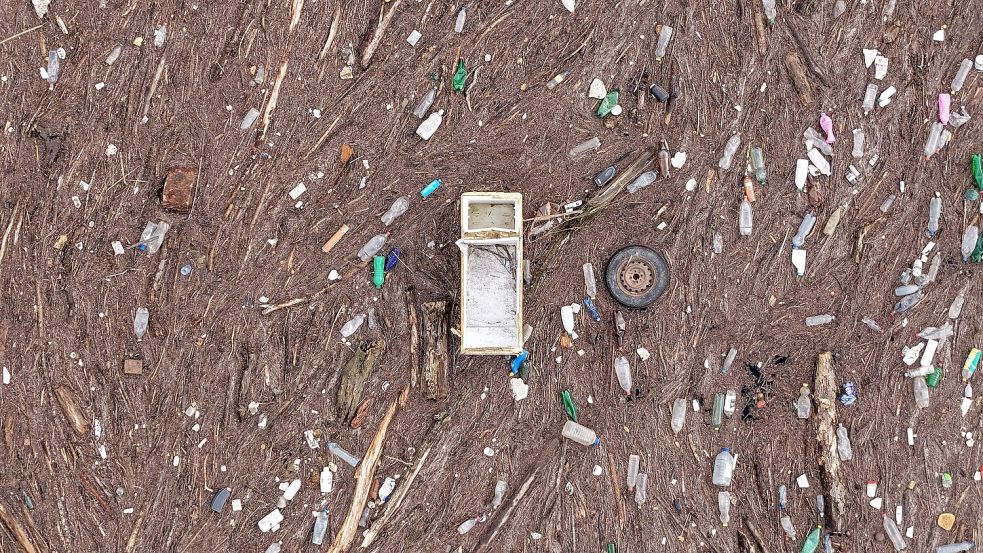 Als eine wichtige Maßnahme wird von IPBES genannt, dass Unternehmen ihre Auswirkungen und Abhängigkeiten öffentlich machen. Foto: Armin Durgut/AP/dpa