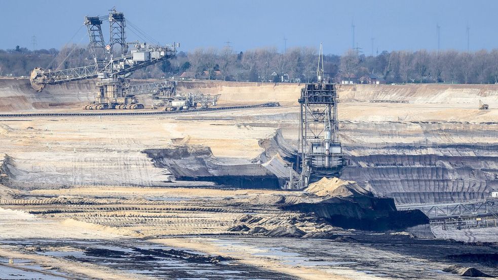 Aktuell erwähnen weniger als ein Prozent der börsennotierten Unternehmen in ihren Berichten ihre Auswirkungen auf die Biodiversität, hieß es. Foto: Oliver Berg
