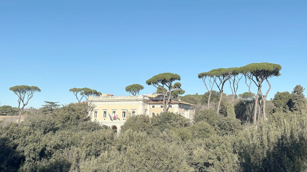 Wie Riesen ragen die Prachtpinien aus Roms Stadtbild heraus. Foto: Robert Messer