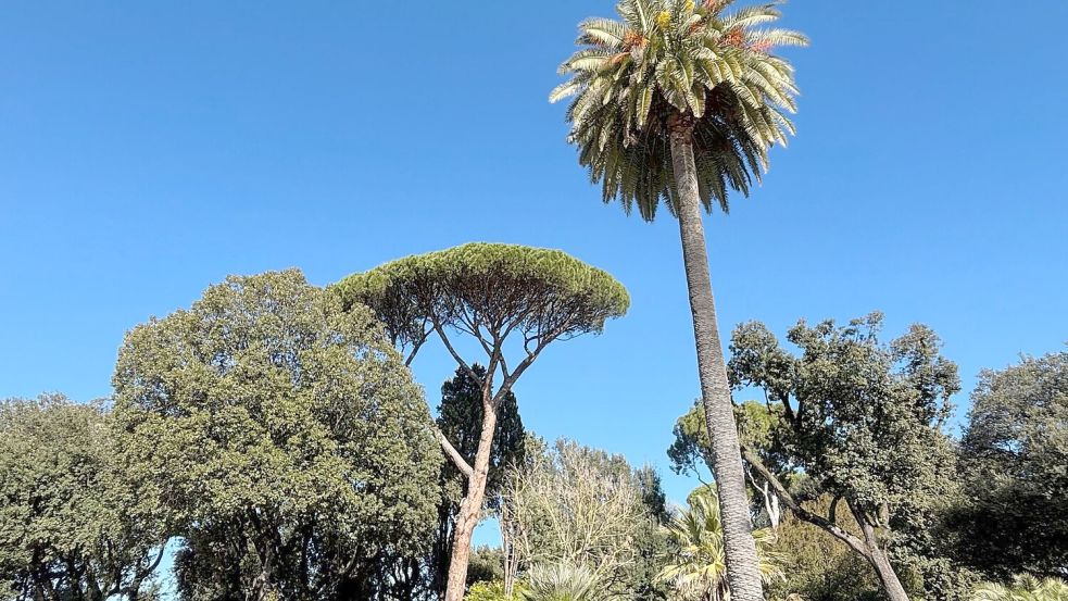 Rom verfügt über eine große botanische Vielfalt. Foto: Robert Messer