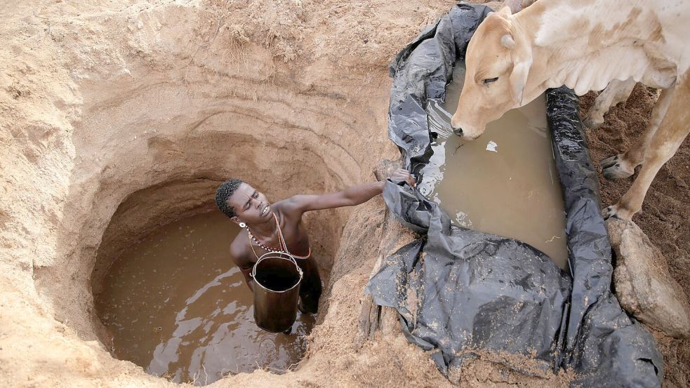 Ein Viehhirte vom Volk der Samburu im Norden Kenias tränkt Rinder (Archivbild) Foto: Brian Inganga/AP/dpa