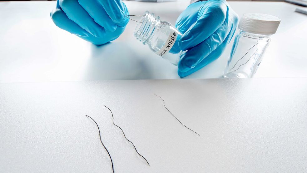 Die Studie untersuchte Rüsselhaare von Elefanten. Foto: ---/Max-Planck-Insitut für Intel