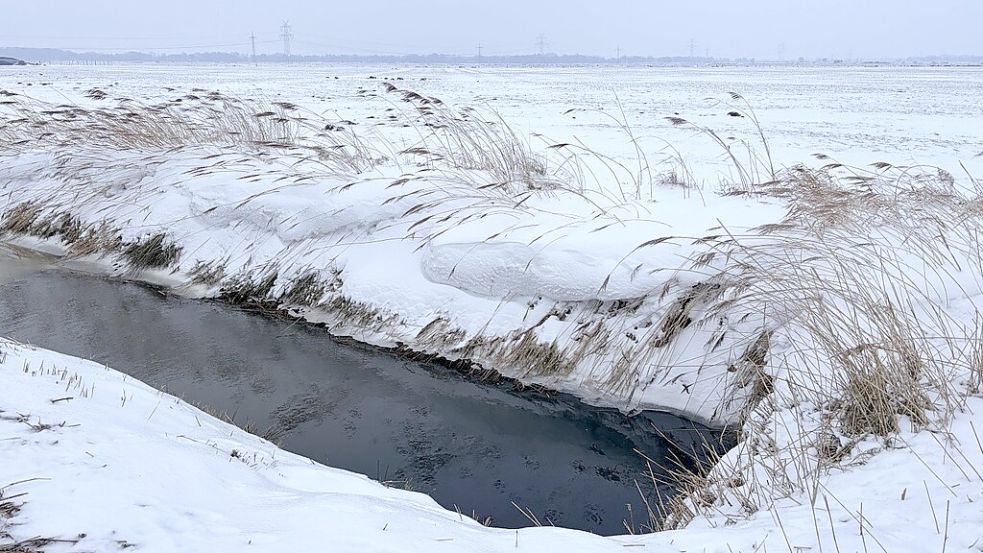 Bedeutet ein kalter, langer Winter, dass der Sommer heiß wird? Foto: Rilana Kubassa