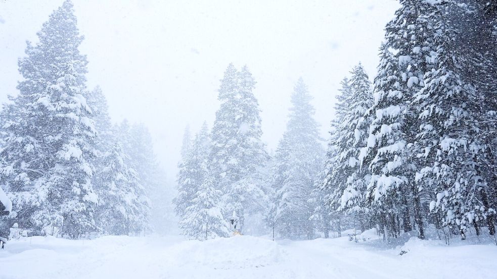 In Kalifornien ist viel Schnee gefallen. Foto: Brooke Hess-Homeier/AP/dpa