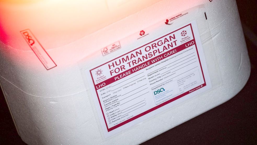 Die Ersatzorgane werden in einer Kühlbox transportiert. (Symbolbild) Foto: Sebastian Gollnow