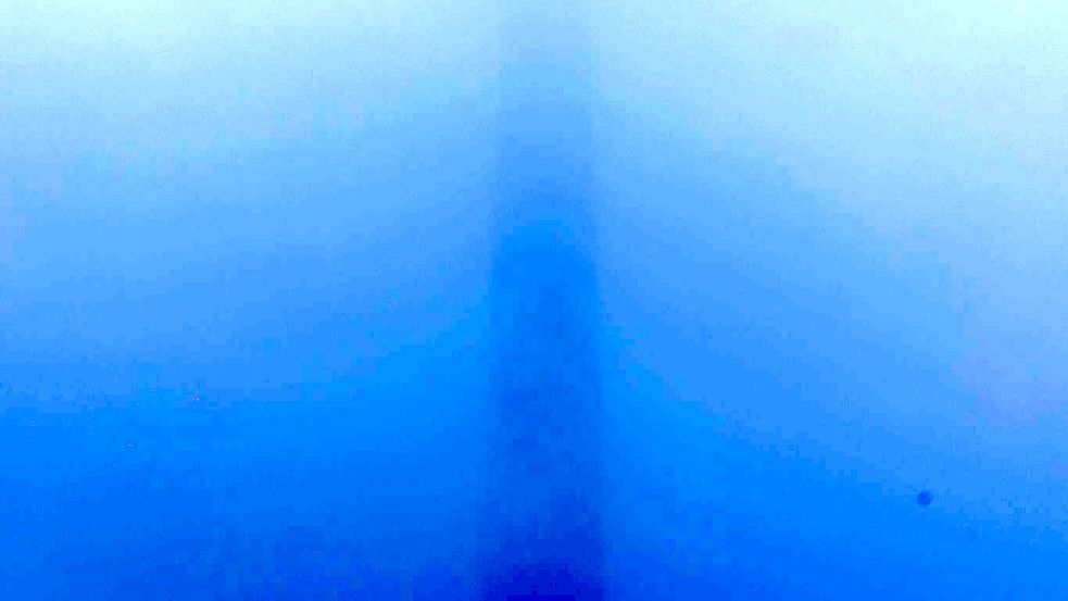 Die zahlreichen Schaulustigen konnten allerdings nur einen Teil des Spektakels sehen, denn die obere Hälfte des Schornsteins war von Nebel und Wolken verdeckt. Foto: David-Wolfgang Ebener