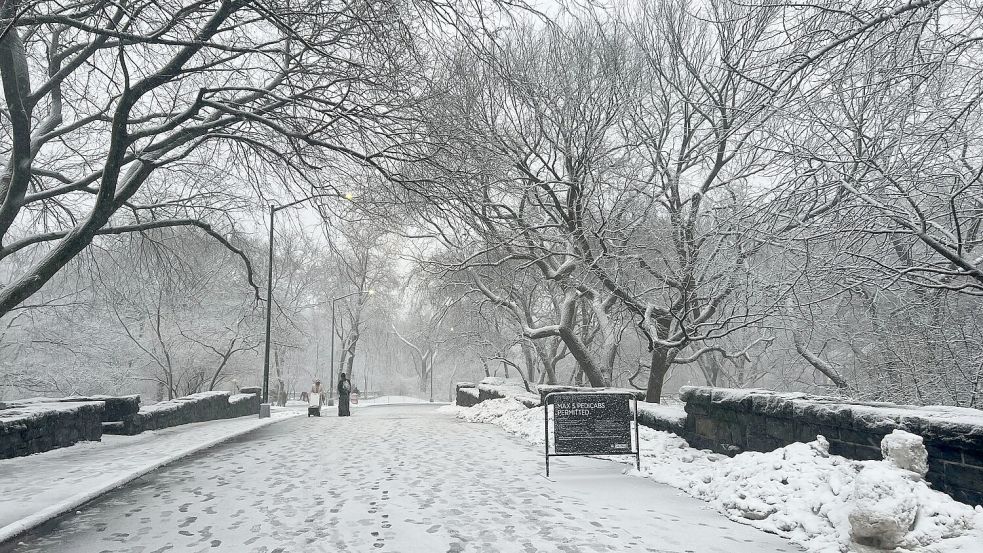 In New York legt der viele Schnee das öffentliche Leben lahm. Foto: Christina Horsten/dpa