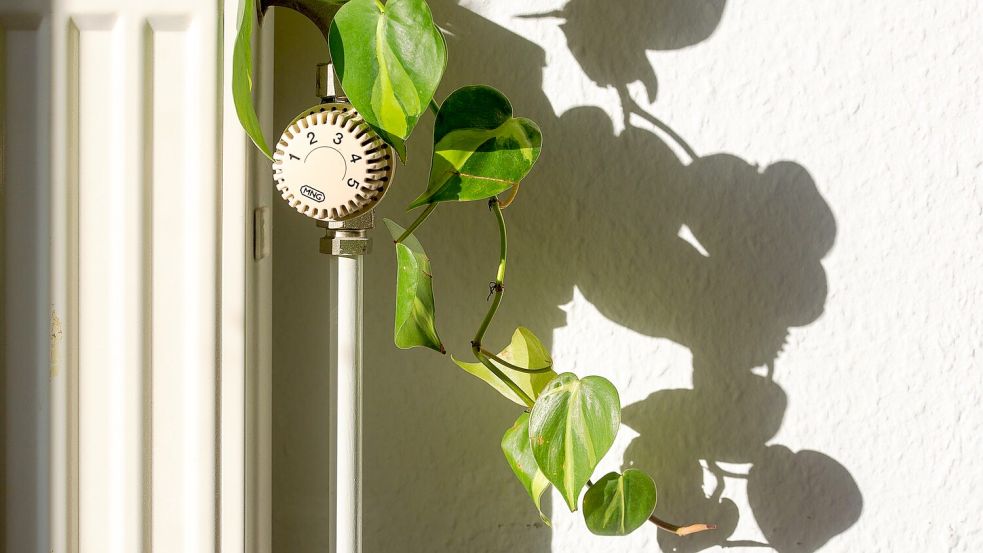 Die schwarz-rote Koalition hat die Weichen beim Heizungsgesetz neu gestellt. Foto: Fernando Gutierrez-Juarez/dpa