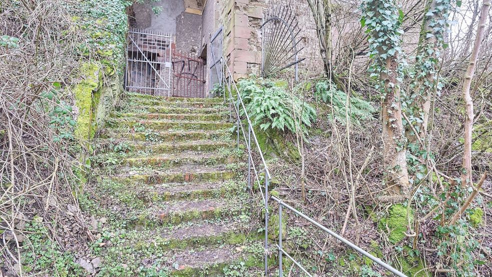 Der Tatort von damals ist eine Art Lost Place, das einstige Arbeitszimmer des preußischen Generals und Festungsbaumeisters Aster. Foto: Thomas Frey/dpa