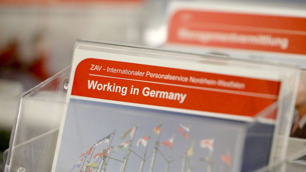 Der deutsche Arbeitsmarkt wird zu einem größer werdenden Anteil von Menschen getragen, die keinen deutschen Pass haben. (Symbolbild) Foto: Oliver Berg