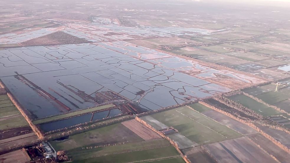Die Wiedervernässung heute im Vehnemoor. Foto: Martin Pille