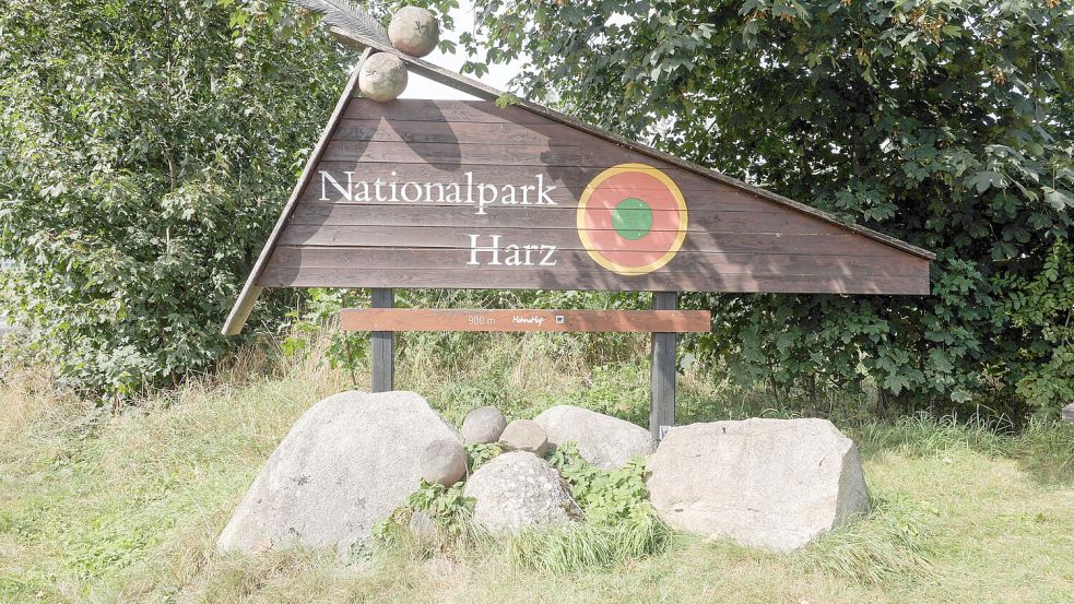 Die Verantwortlichen vom Nationalpark Harz sind nicht sonderlich begeistert vom geplanten Bundeswehr-Camp. Foto: IMAGO/Bernd März