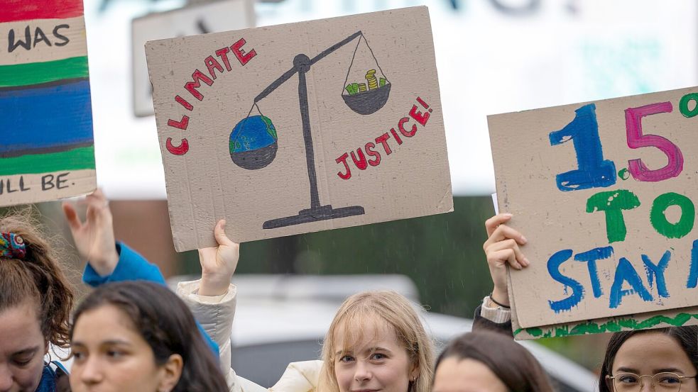 Umweltschützer fordern Klimaziele auch vor Gericht ein. (Symbolbild) Foto: Peter Dejong/AP/dpa