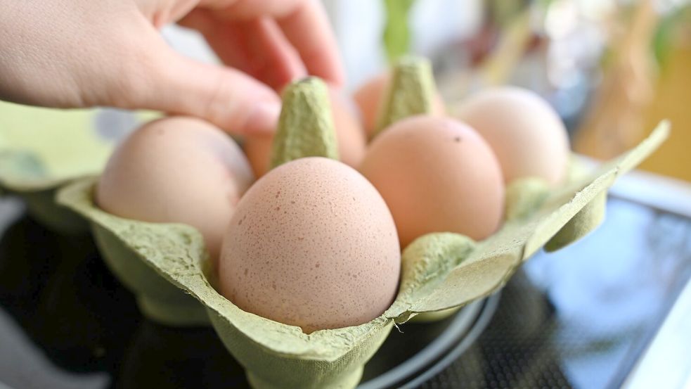 Einen Notstand bei der Eier-Versorgung gibt es nicht - aber Lücken in den Regalen der Händler. (Symbolbild) Foto: Elisa Schu/dpa
