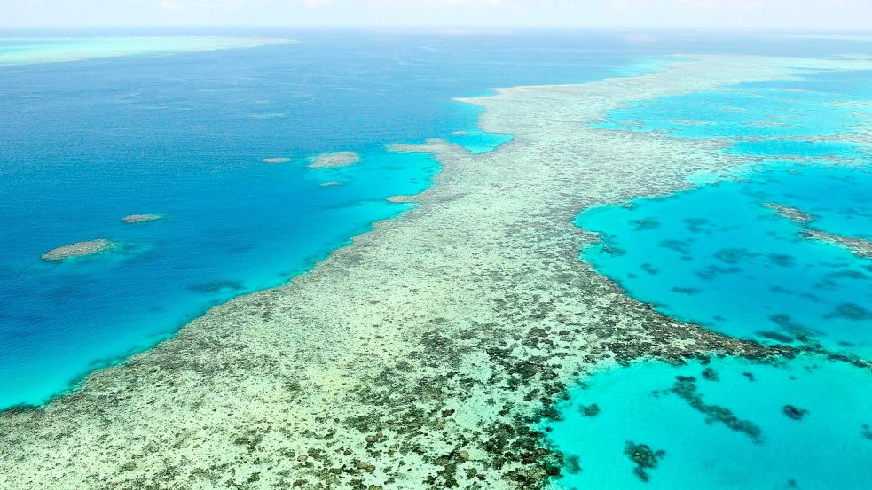 Das Great Barrier Reef gehört zu den größten Naturwundern der Erde - Haiangriffe sind hier aber selten. (Archivbild) Foto: Uncredited/Kyodo News via AP/dpa