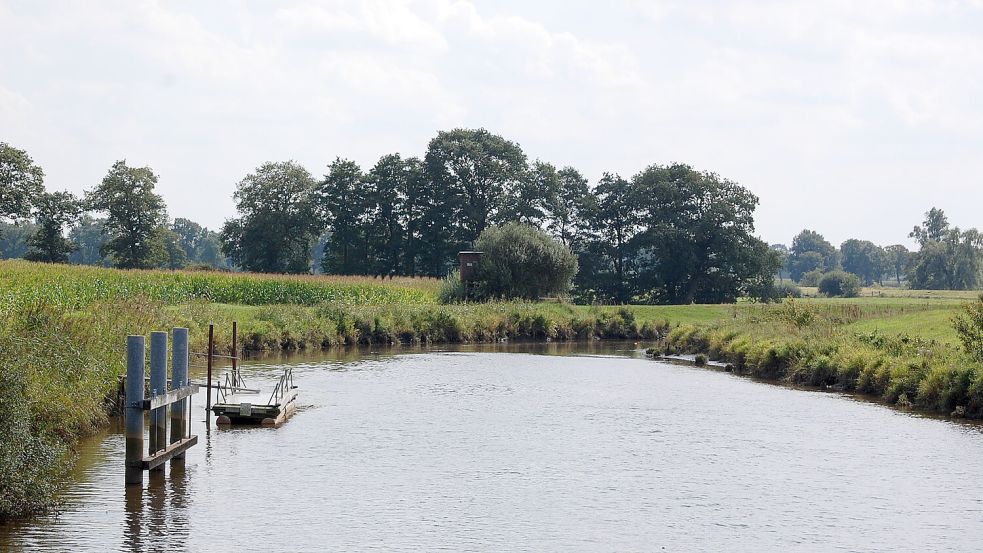 Die Kanufahrer waren auf der Sagter Ems unterwegs. Symbolfoto: Horst Kruse/Archiv