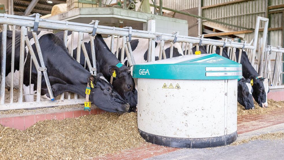 Melkroboter von Gea auf einem Bauernhof in Ahaus. (Archivbild) Foto: Guido Kirchner