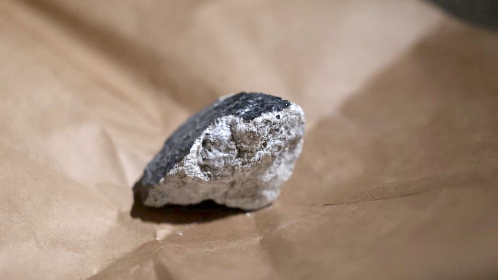 Für die Wissenschaft sind Fundstücke wie diese eine Goldgrube und Ausgangspunkt für zahlreiche Analysen. Foto: Thomas Frey