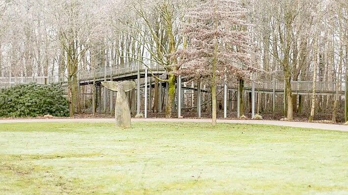 Im Papenburger Stadtpark ist Anfang März ein Streit eskaliert. Archivfoto: Lars Schröer
