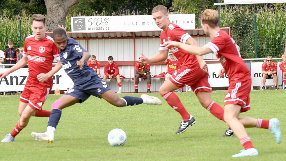 TuRa Westrhauderfehn (rote Trikots) bestreitet am Freitag, 13. März, das nächste Heimspiel. Wir sind mit der Kamera vor Ort. Foto: Hans Damm