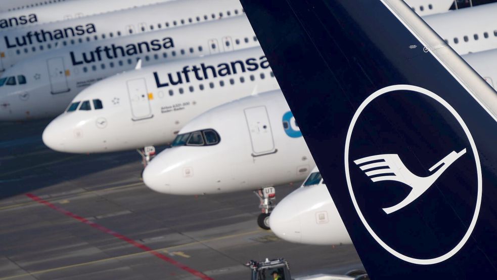 In Frankfurt bleiben viele Lufthansa-Jets stehen. Foto: Florian Wiegand