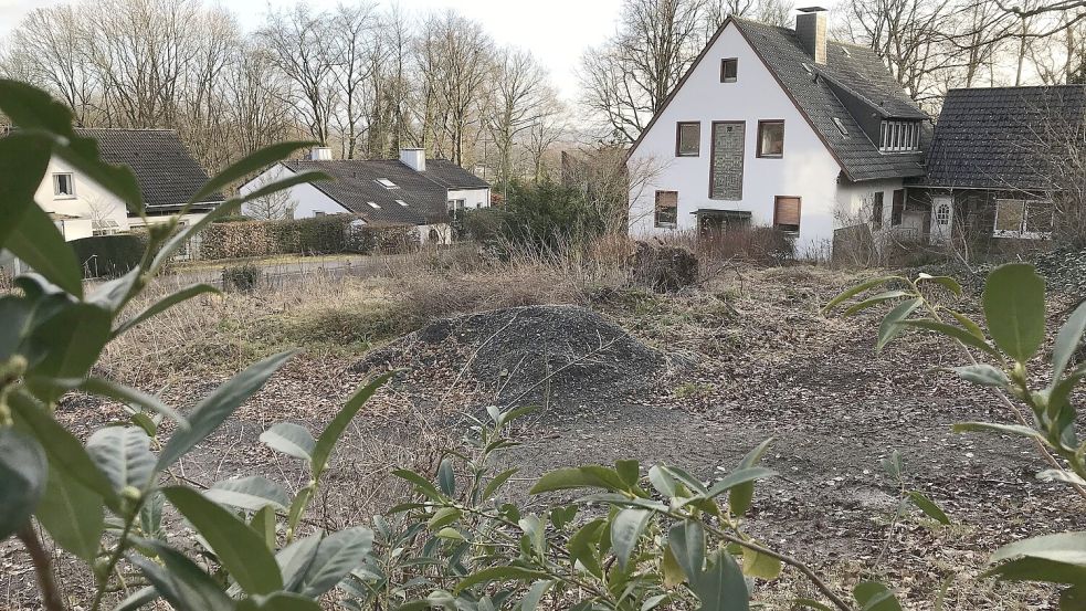 Auf diesem Grundstück an der Waldstraße im Osnabrücker Stadtteil Lüstringen (hier eine Aufnahme von Anfang 2024) soll ein Haus mit drei Wohnungen entstehen. Ex-OB Wolfgang Griesert wehrt sich juristisch dagegen. Foto: Wilfried Hinrichs