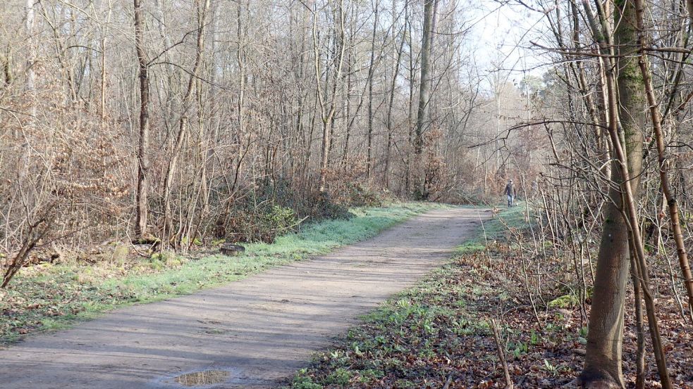 Die Ermittler haben erste Details nach dem Fund einer toten Frau in einem Wald bei Mannheim bekanntgegeben. Foto: Rene Priebe/dpa