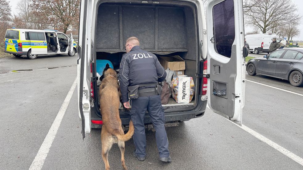 Spürhund Barry kommt in einem Kleintransporter zum Einsatz. Foto: Jonas Bothe