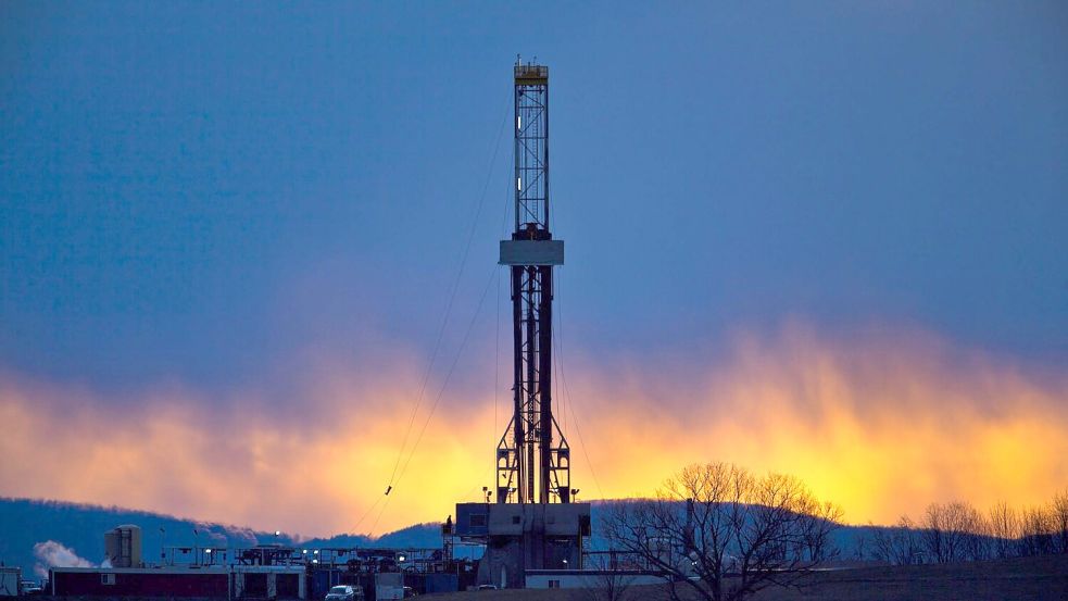 Einheimische Rohstoffe rücken in unsicheren Zeiten wieder verstärkt in den Blick. Foto: Jim Lo Scalzo/EPA/dpa