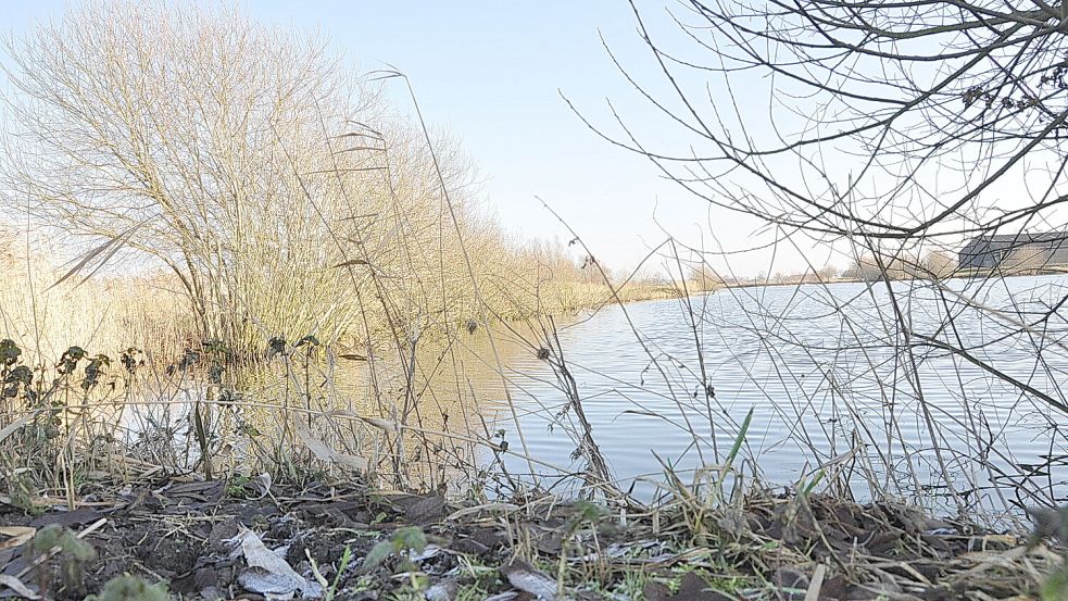 Mit dem Projekt „Naturerlebnispfad Landschaftssee Ditzum“ soll der See bei Ditzum zu einem lebendigen Ort für Erholung und Bildung werden. Foto: Bodo Wolters/Archiv