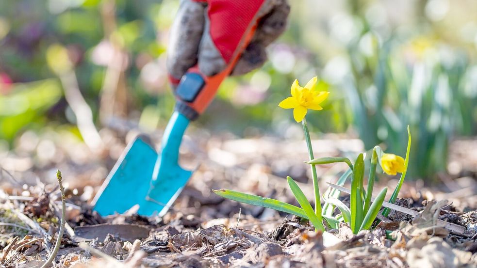 Jetzt ist Zeit für Gartenarbeit. (Symbolbild) Foto: Lino Mirgeler