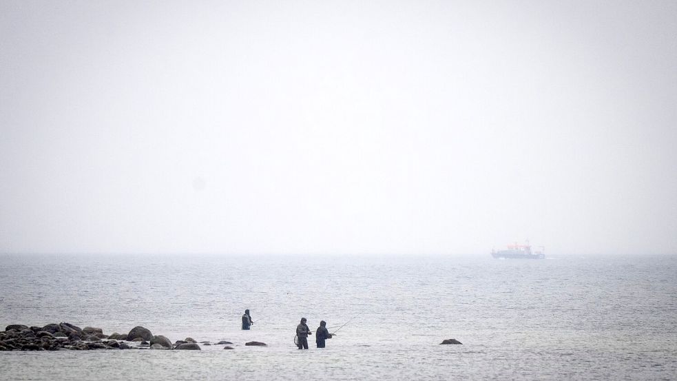 Das Boot „Uecker“ von der Wasserschutzpolizei sucht den Wal an der Ostseeküste. Foto: Philip Dulian