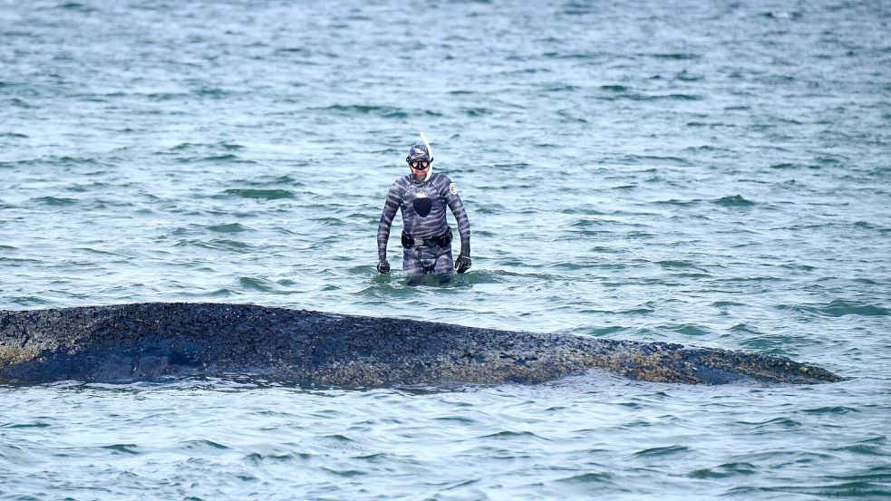 Bei der Rettungsaktion vor Timmendorfer Strand hat Lehmann unterstützt. (Archivbild) Foto: Daniel Bockwoldt