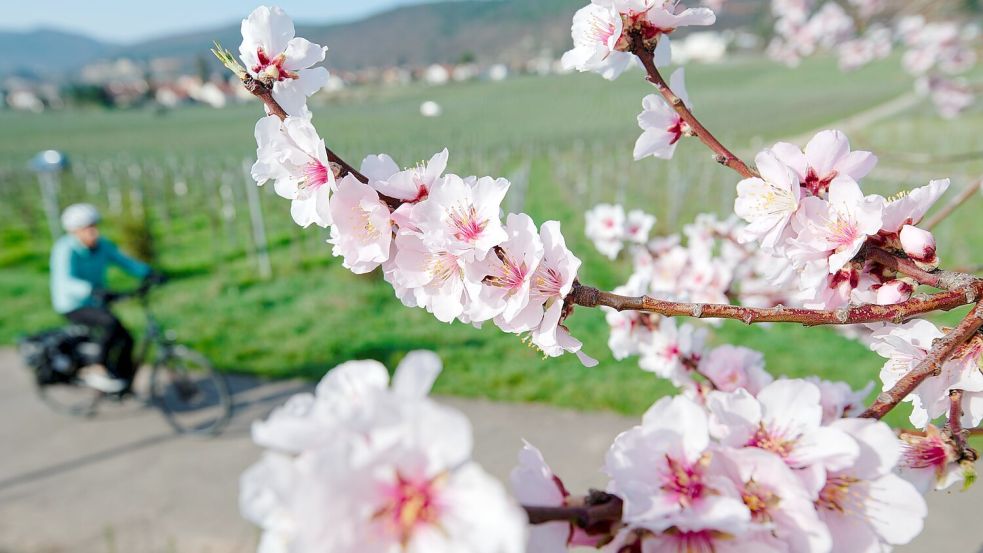 Im März lockte das Wetter bereits zu vielen Aktivitäten ins Freie. (Archivbild) Foto: Uwe Anspach