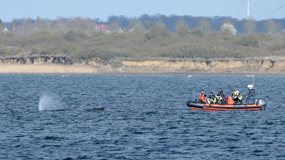 Heute sind laut Umweltministerium vorerst keine weiteren Aktionen geplant. (Archivbild) Foto: Stefan Sauer