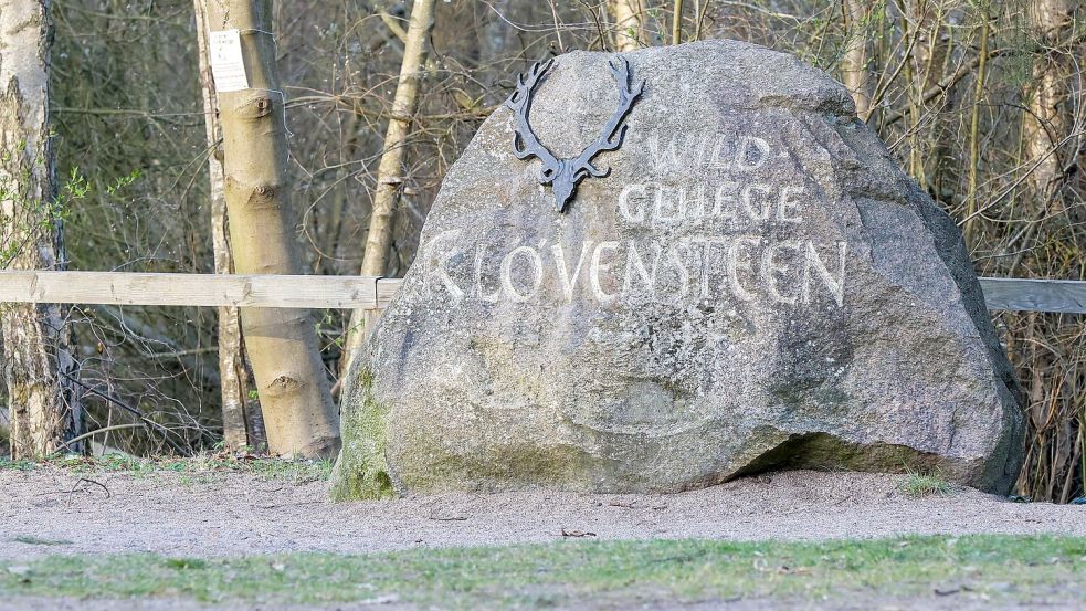 Bis zu seinem Transport nach Niedersachsen war der Wolf im Wildgehege Klövensteen untergebracht und tiermedizinisch versorgt worden. Foto: Bodo Marks