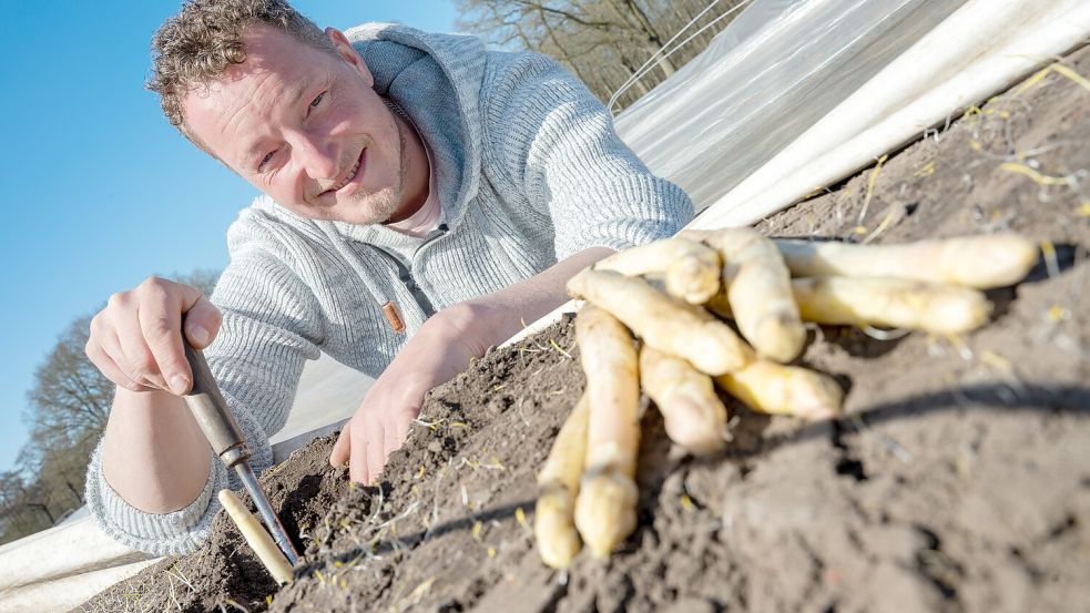 Die ersten Stangen hat Janno Schmid schon geerntet. Foto: Klaus Ortgies