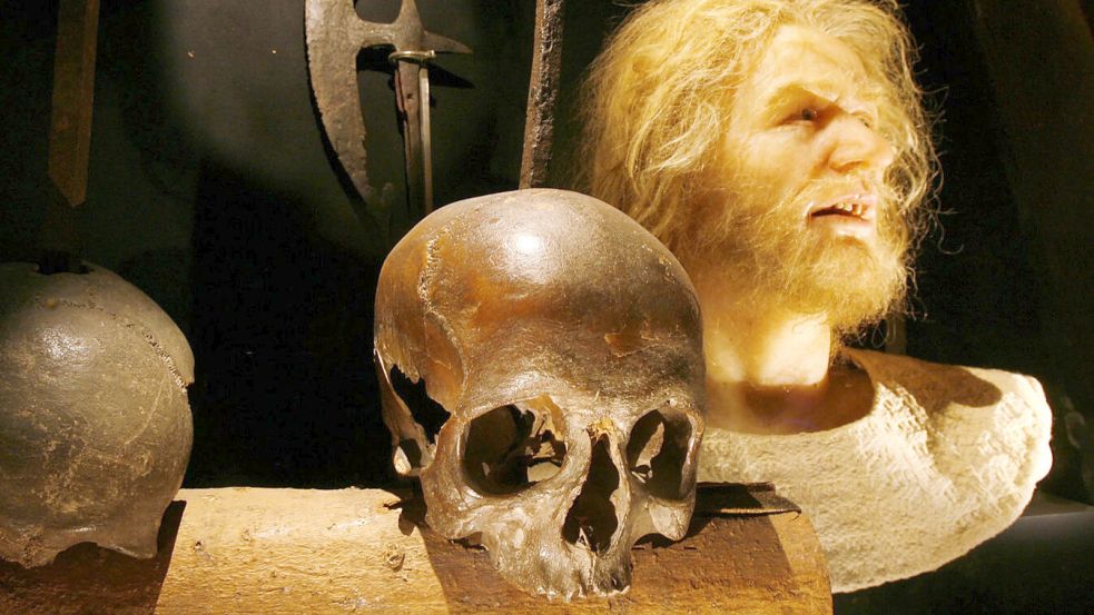 Ein Schädel, der beim Grasbrook gefunden wurde, und eine darauf basierende Nachstellung eines Mannes. Ist es Störtebeker? Foto: SHMH/Angela Franke