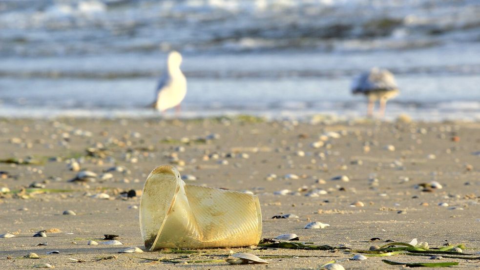 An einigen Stränden der Ostsee sorgt Müll für Kritik, doch gerade auch Altmunition ist ein Problem. Etwa 300.000 Tonnen liegen davon in dem Meer. Foto: Imago/imagebroker