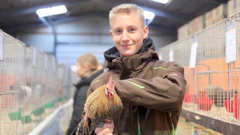 Max Grever ist besonders stolz auf seine Tiere. Er gewann die Bundes-Jugend-Medaille für eine kennfarbige Henne der Rasse Holländische Zwerghühner. Foto: Janis Sophie Grosser