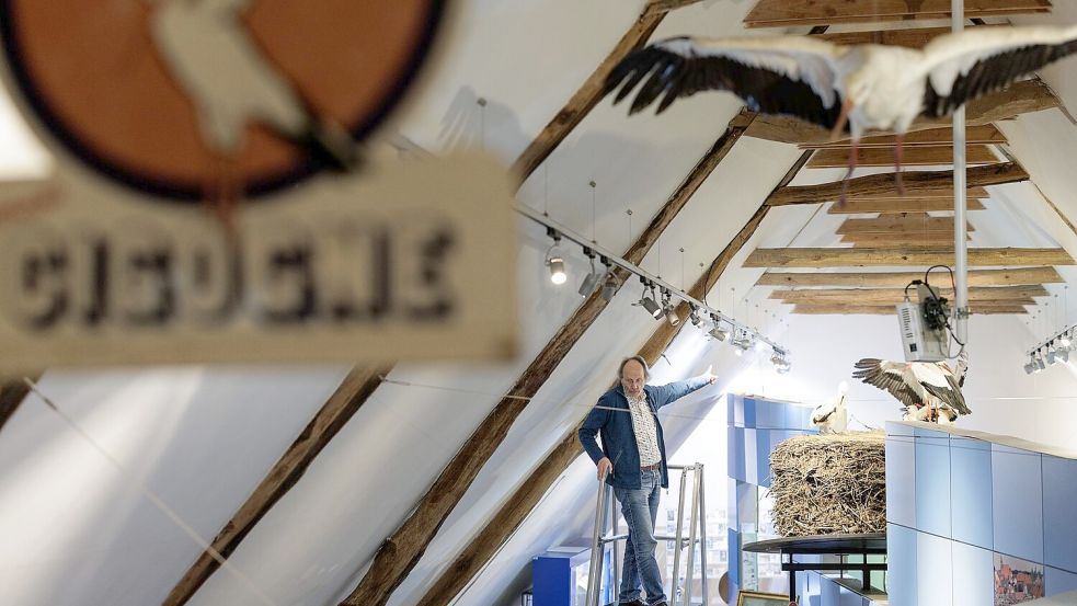 „Storchenvater“ und Autor Alfons Rolf Bense führt durch das Westfälische Storchenmuseum. Ein großes Exponat ist ein Original-Storchennest, das wegen Sanierungsarbeiten von einem maroden Schornstein genommen werden musste. Es wog fast eine Tonne. Museumsbesucher können über eine Leiter hineinschauen. Foto: David Ebener