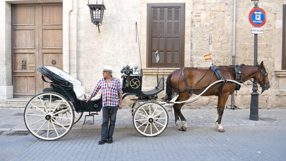 Mit der Pferdekutsche durch Palma, das war bei vielen Touristen ein beliebtes Angebot. Doch die Hitze setzt den Tieren zu und die Zahl der Gegner wuchs. Foto: IMAGO/Depositphotos