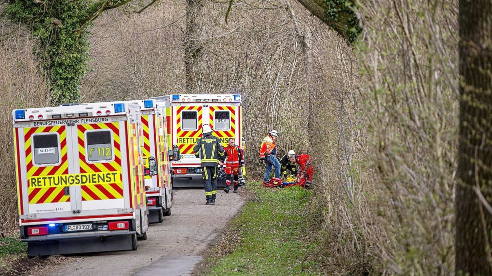 Drei Menschen sterben in einem Waldstück südöstlich von Flensburg. Foto: Benjamin Nolte/dpa