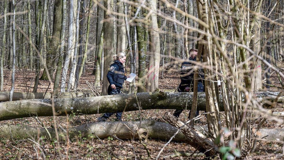 Bei der Ostereiersuche einer Gruppe stürzt ein Baum um. Foto: Benjamin Nolte/dpa