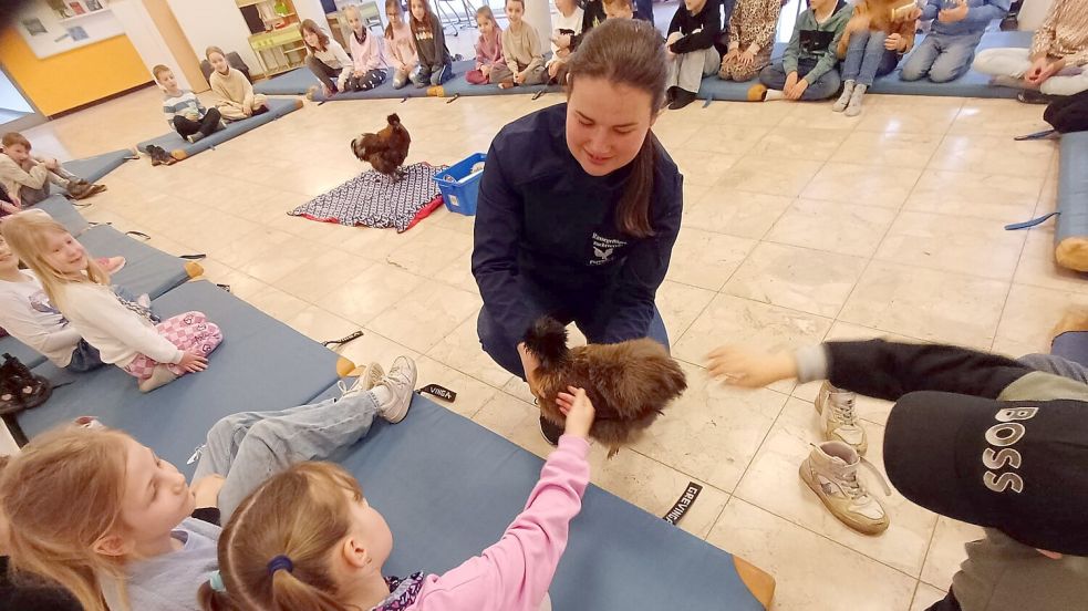 Keine Angst vor Geflügel: Eine Grundschülerin aus Völlenerfehn streichelt ein Seidenhuhn, das ihr Myriam Steen hinhält. Sie hat das Tier selbst gezüchtet. Foto: RGZV Papenburg