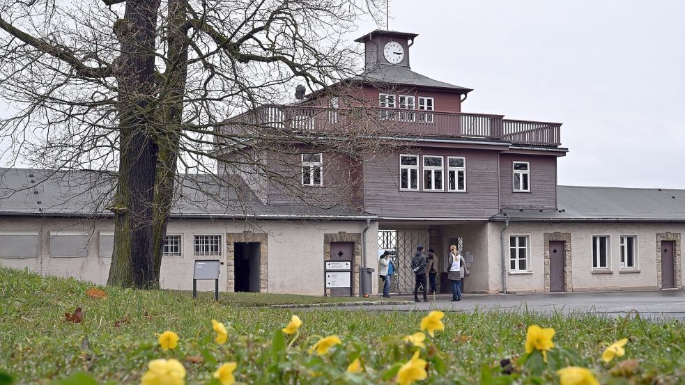 Die Aktivisten waren nach eigenen Angaben gestern auf dem Gelände. Foto: Martin Schutt